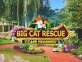 Big Cat Rescue Megaways DNT thumbnail